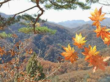 “客”哪里吃｜“红颜知己”，早晚相见